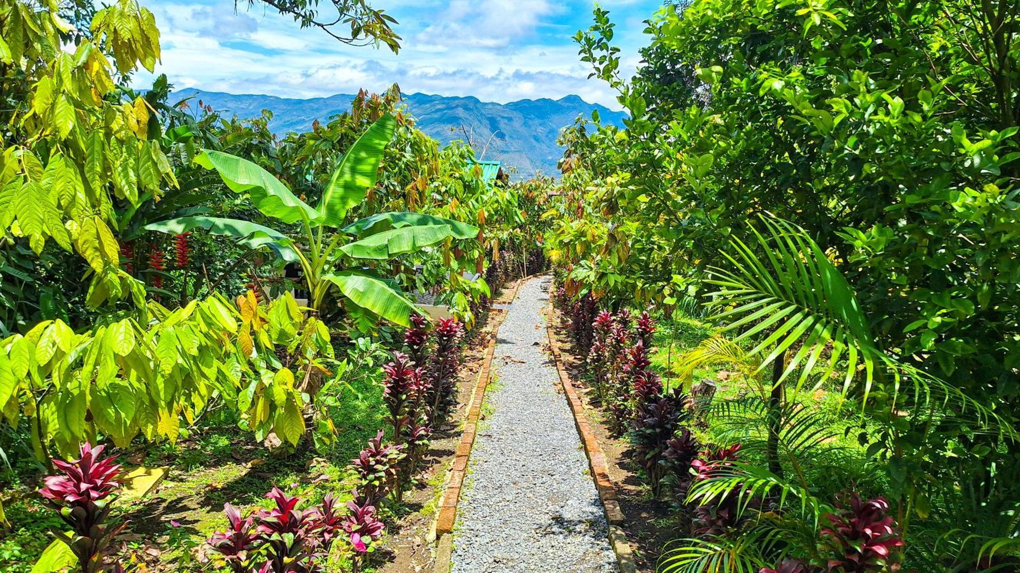 豪華帳篷 Jardin Del Sol Ecoglamping Sas