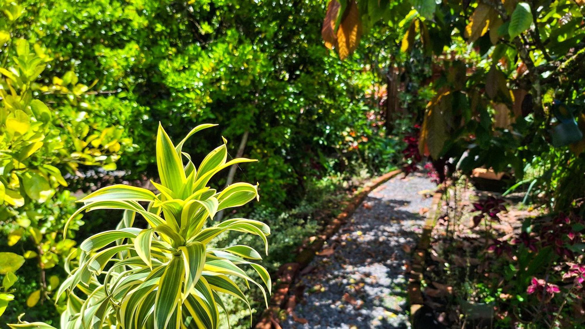Jardin Del Sol Ecoglamping Sas *