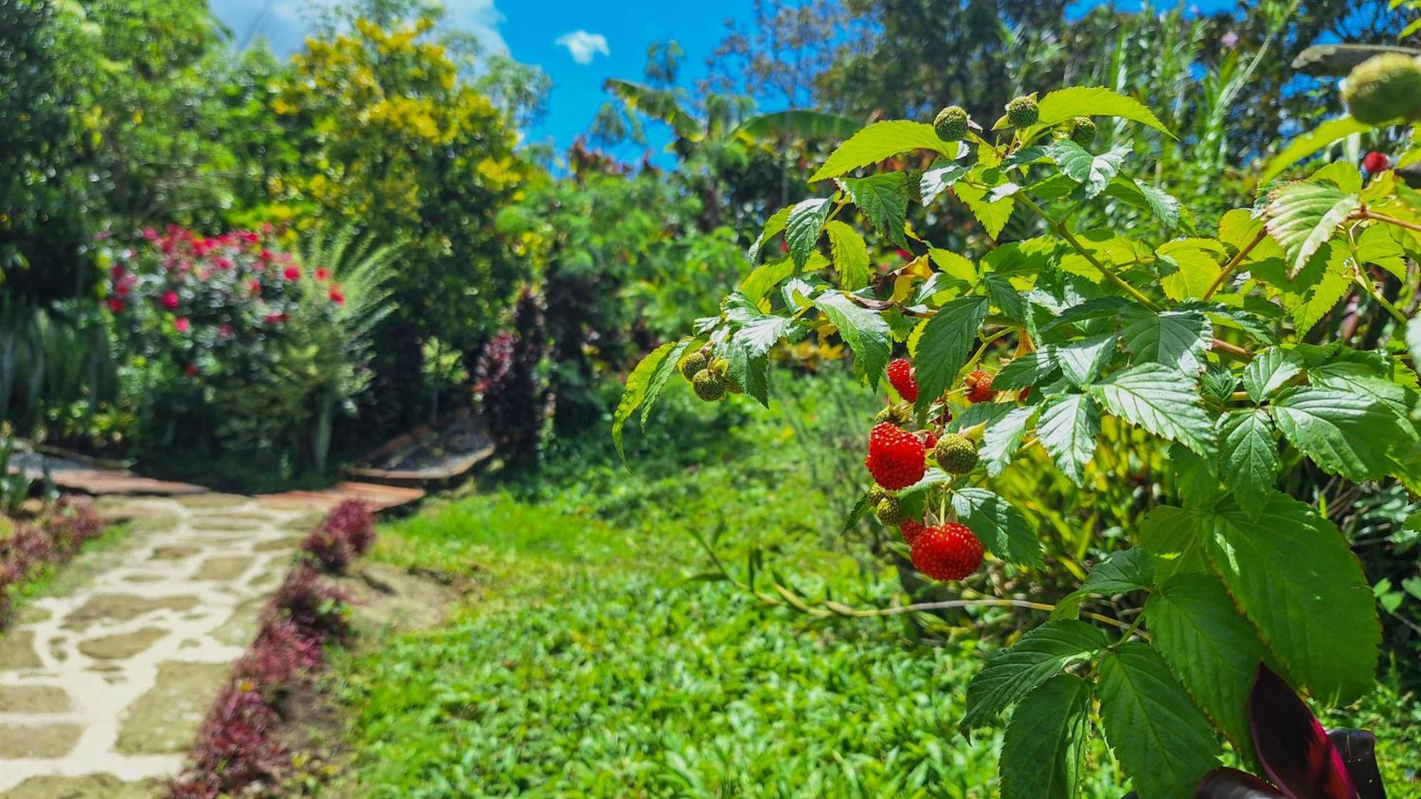 Jardin Del Sol Ecoglamping Sas 豪華帳篷 San Jose de Suaita
