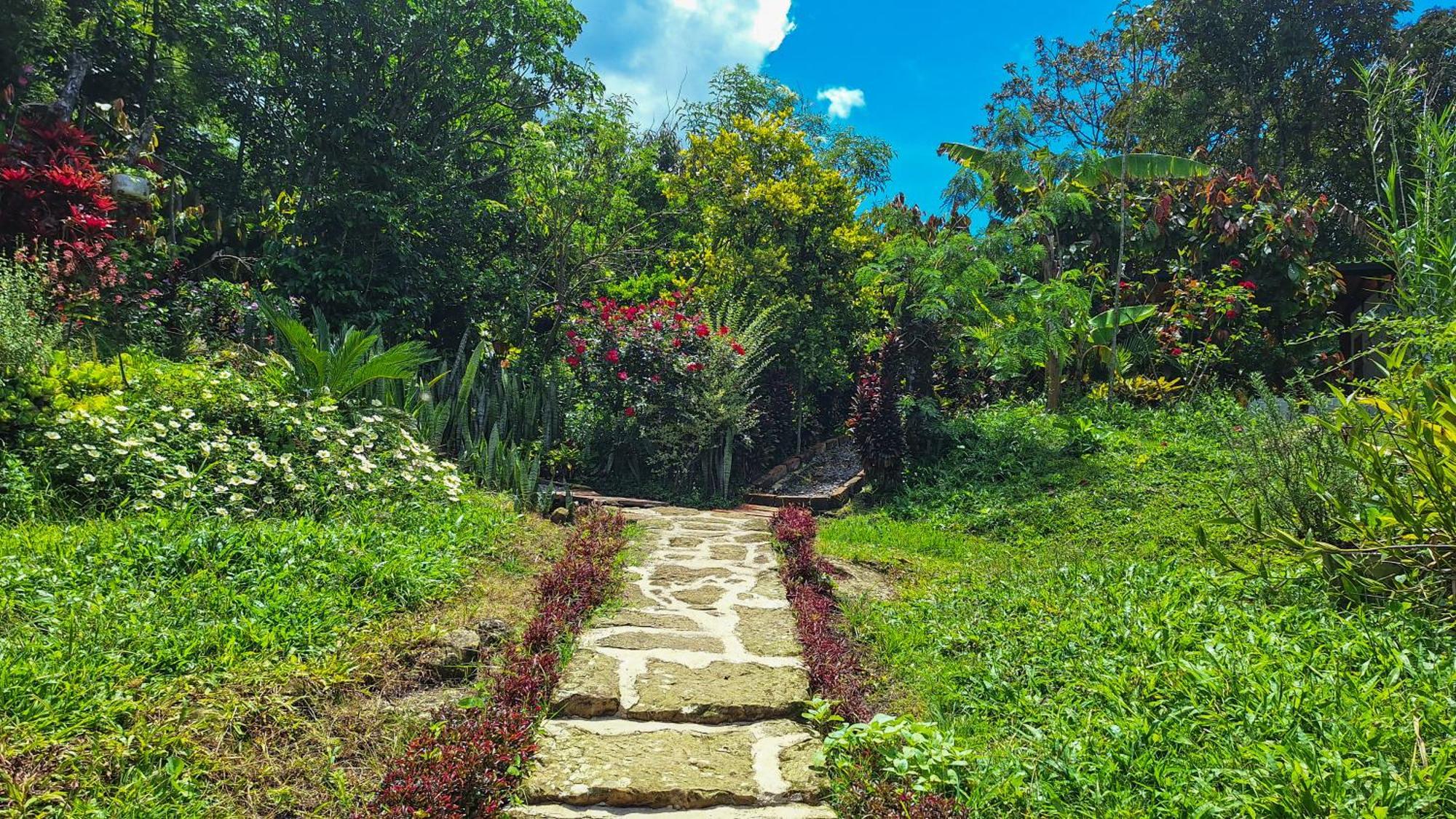 Jardin Del Sol Ecoglamping Sas 豪華帳篷
