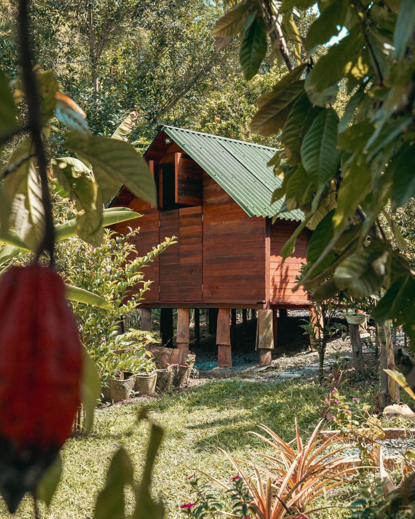 Jardin Del Sol Ecoglamping Sas