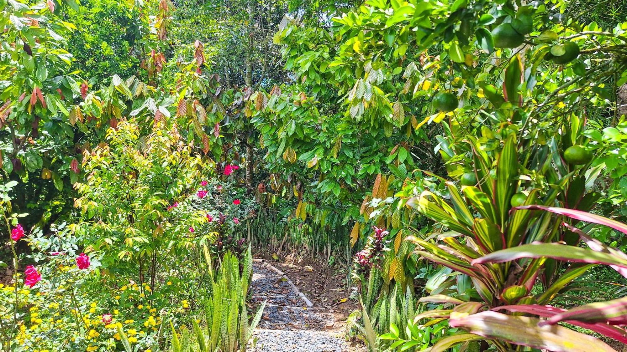 Jardin Del Sol Ecoglamping Sas San Jose de Suaita