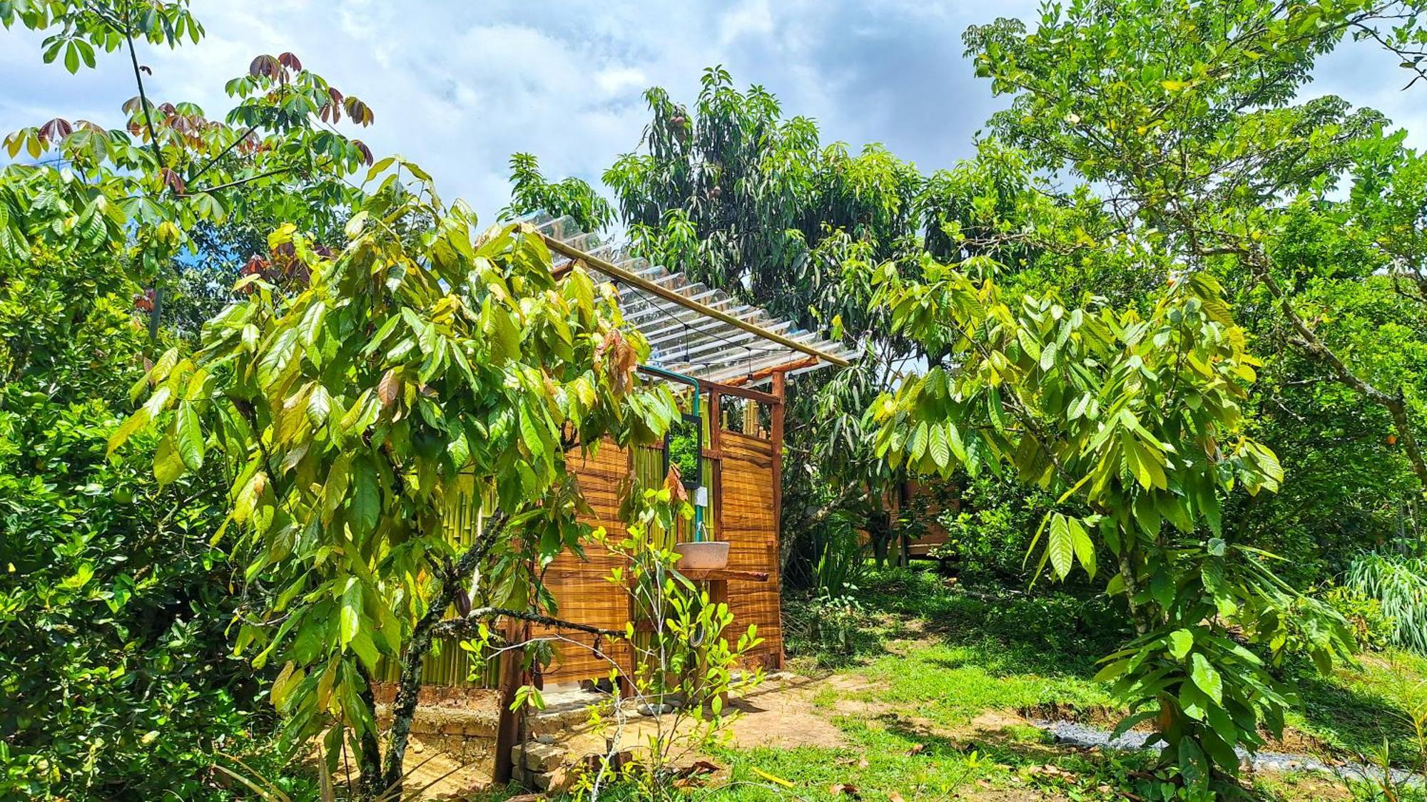 Jardin Del Sol Ecoglamping Sas