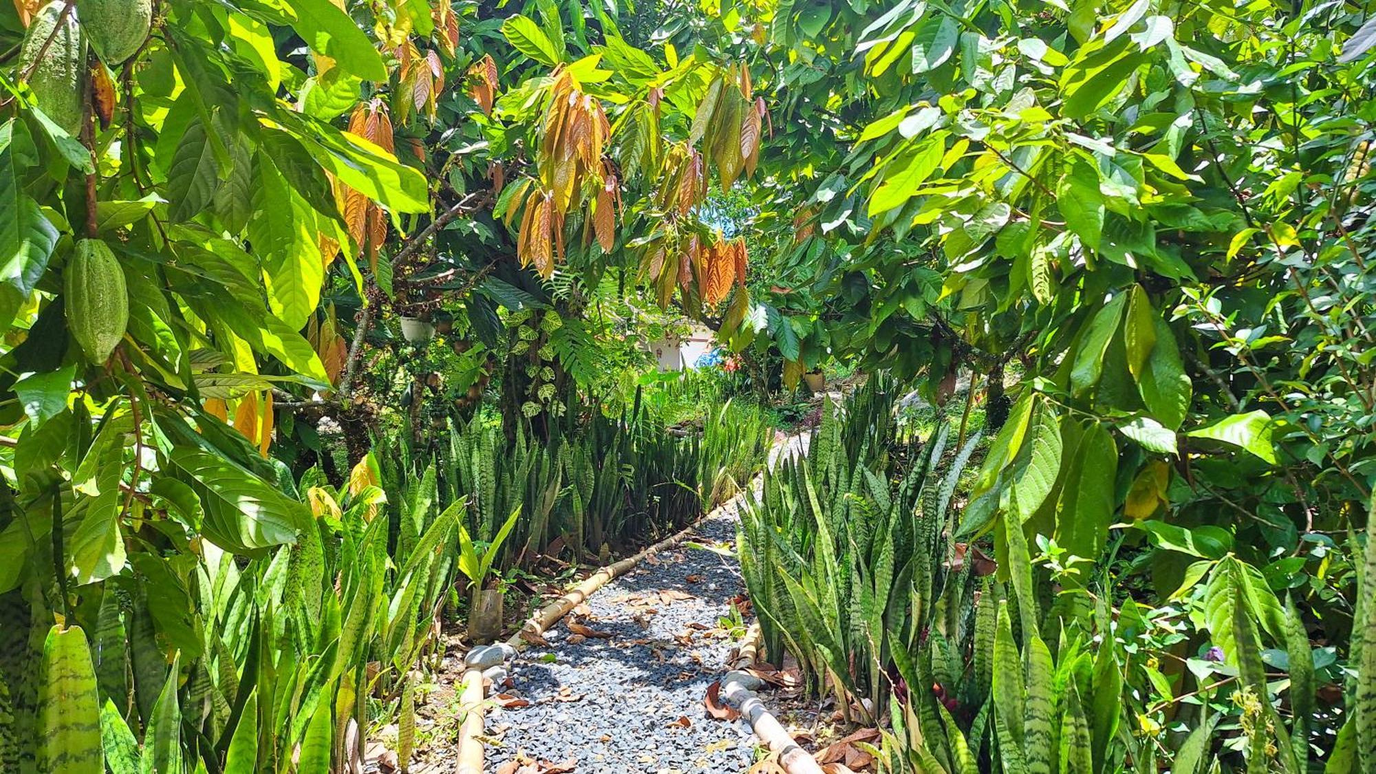 Jardin Del Sol Ecoglamping Sas Tente de luxe