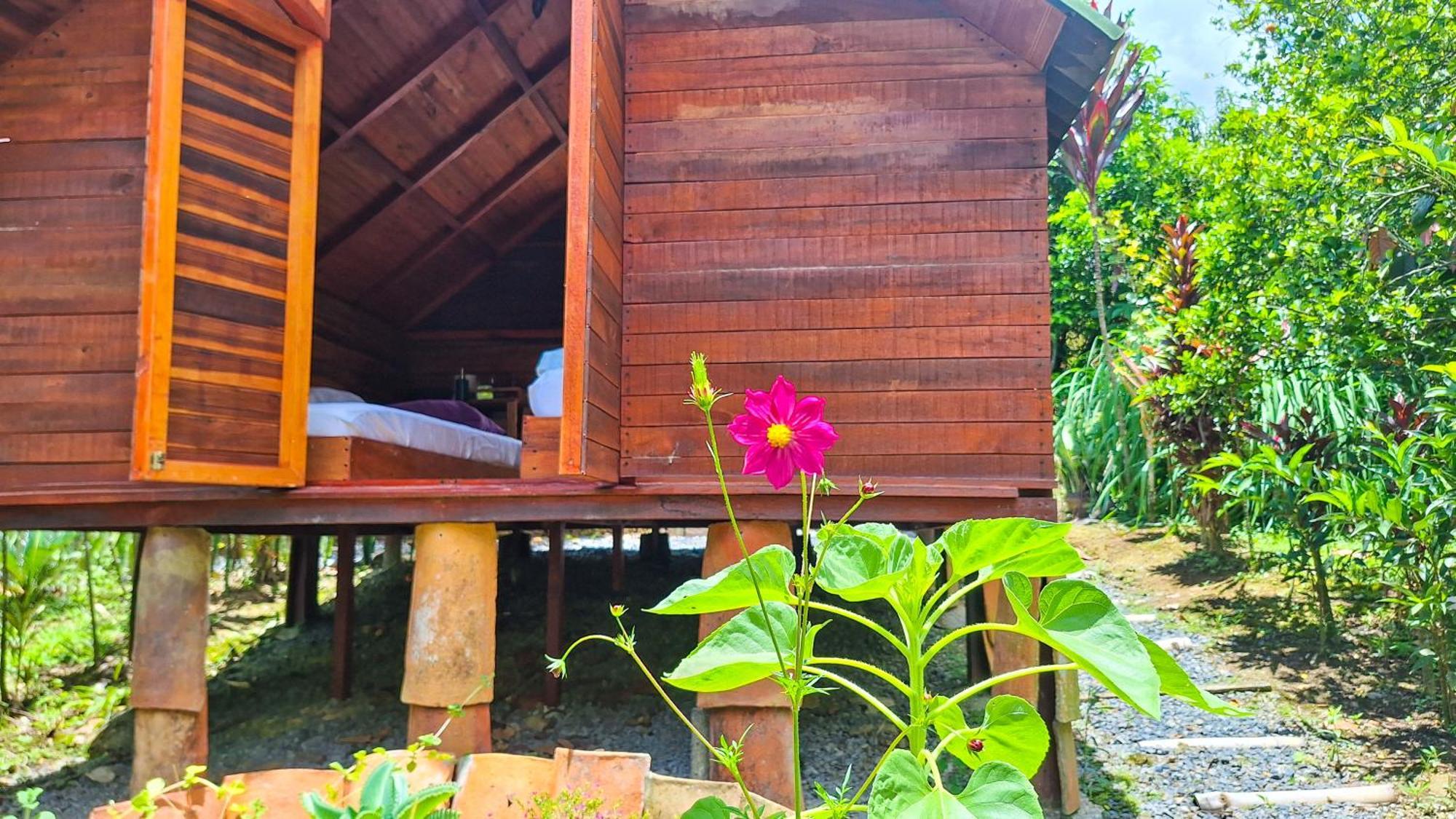 Tente de luxe Jardin Del Sol Ecoglamping Sas San Jose de Suaita