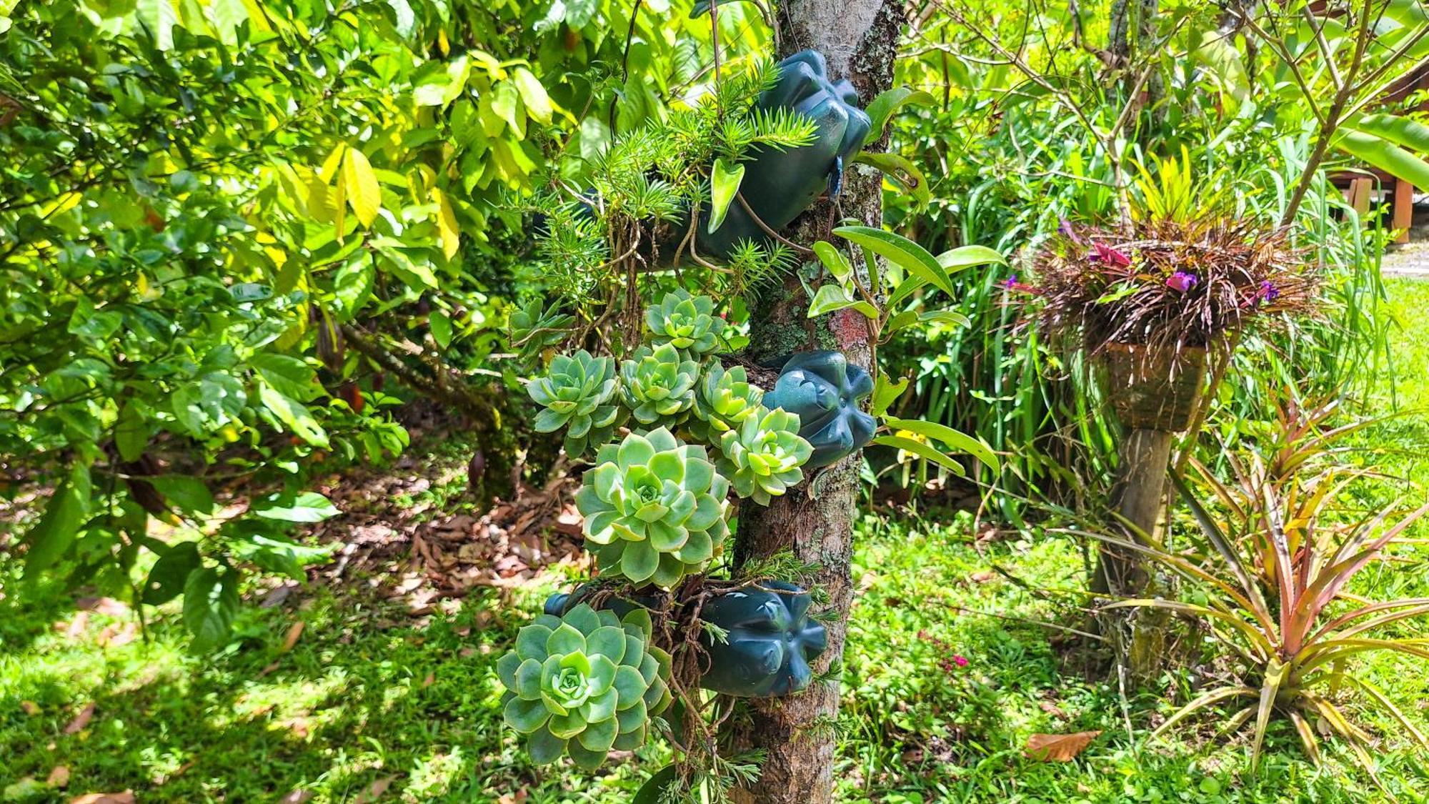 Jardin Del Sol Ecoglamping Sas