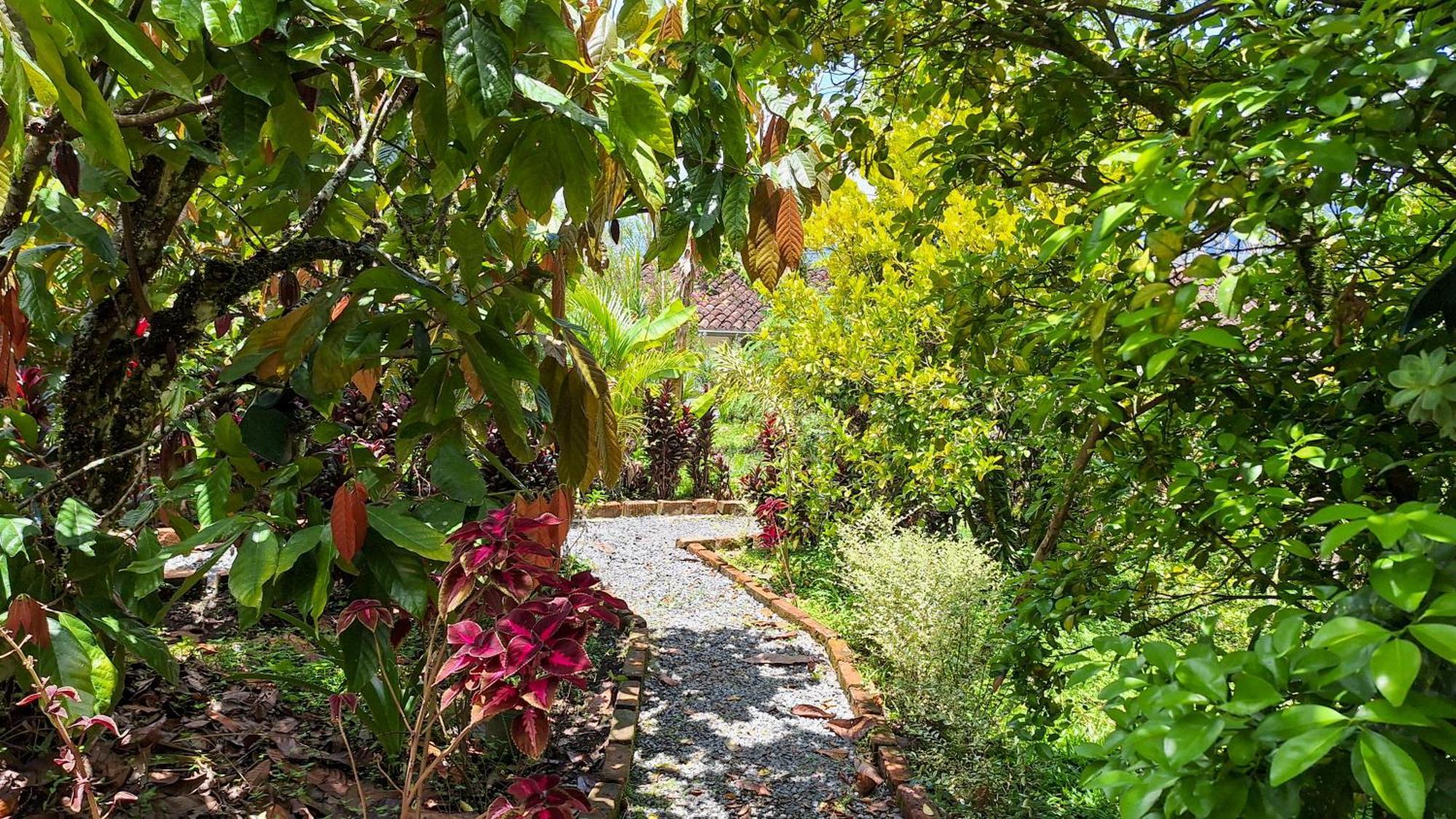 Jardin Del Sol Ecoglamping Sas * San Jose de Suaita